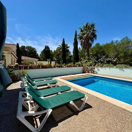 Onza De Paraiso En Menorca *