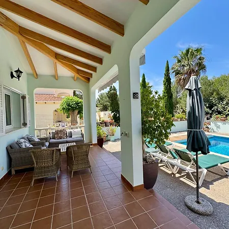 Onza De Paraiso En Menorca *