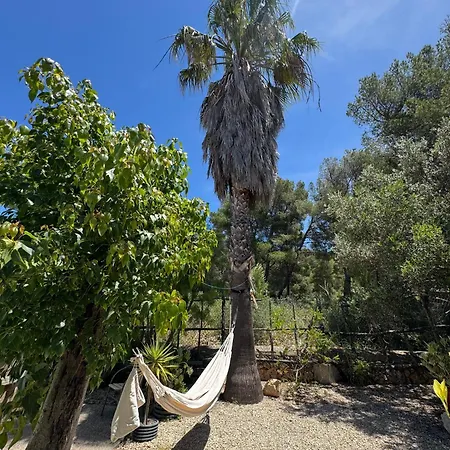 Villa Onza De Paraiso En Menorca Son Parc