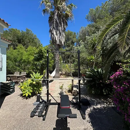 Onza De Paraiso En Menorca * Son Parc