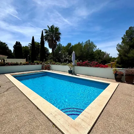 Onza De Paraiso En Menorca