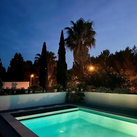 Onza De Paraiso En Menorca * Son Parc
