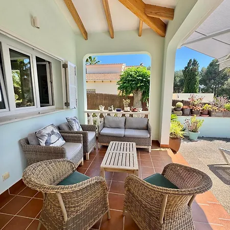 Onza De Paraiso En Menorca *